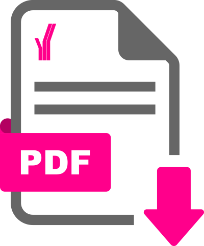 Download file as PDF